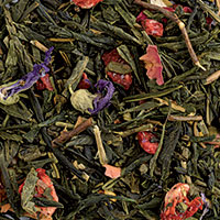 Giardino dei Tropici