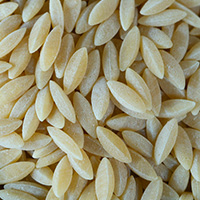 Orzo*